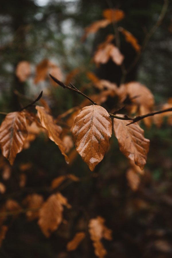Quelles sont les 2 composantes de l'environnement de l'entreprise ?