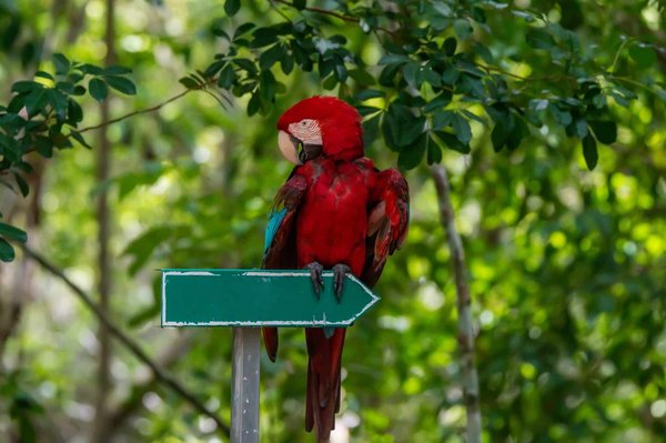 Conseiller d'orientation privé : trouvez votre voie